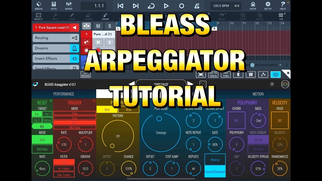 BLEASS Arpeggiator - AUv3 - Standalone & MIDI FX - Tutorial for the iPad