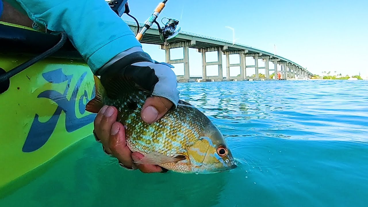 Smorgasboard Day Catching a Variety of Random Fish - Ft Pierce Florida