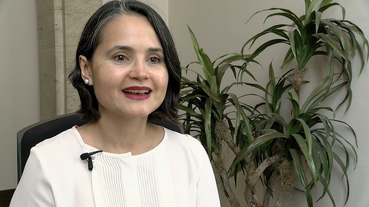 &iquest;Qu&eacute; es una LLC ?