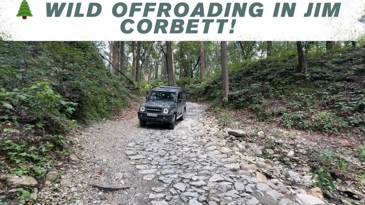 Wild Jungle Offroad Experience | Force Gurkha 5-Door First Adventure Jim Corbett  Part 7
