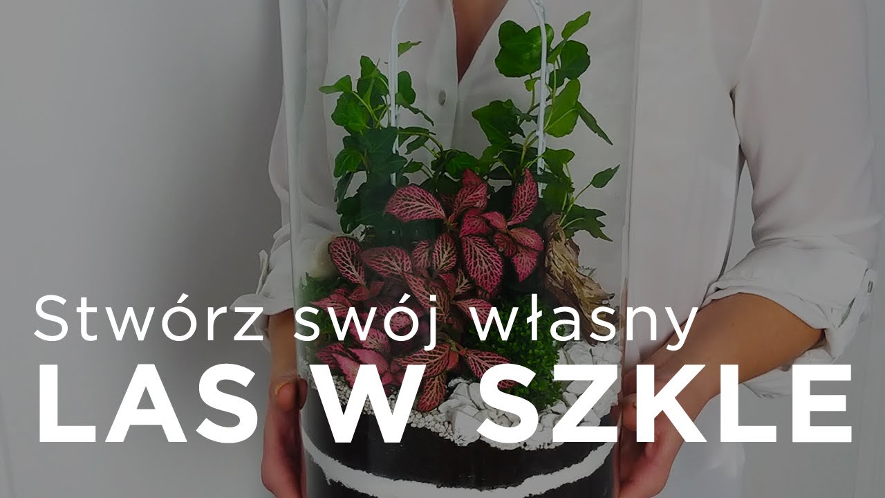 Jak zrobić LAS W SZKLE? DIY kompozycje w słoiku
