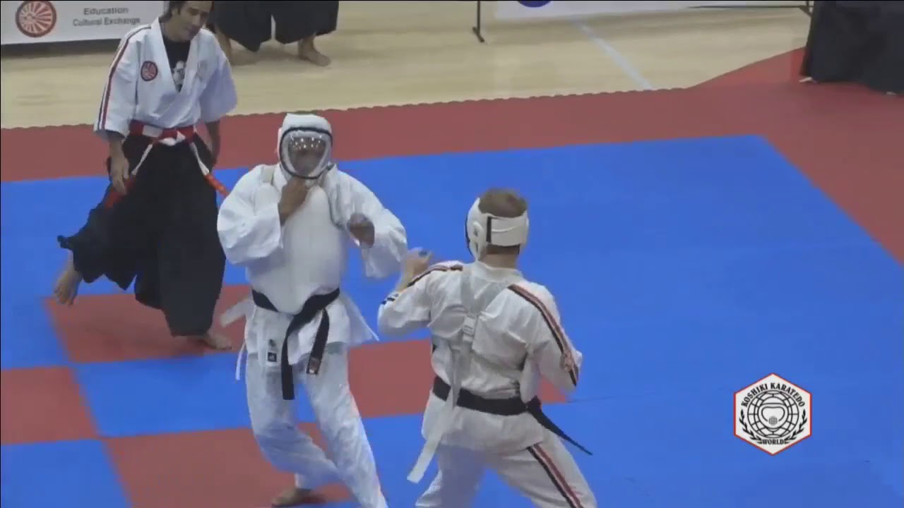2017 World Koshiki Championship mens open weight medal matches