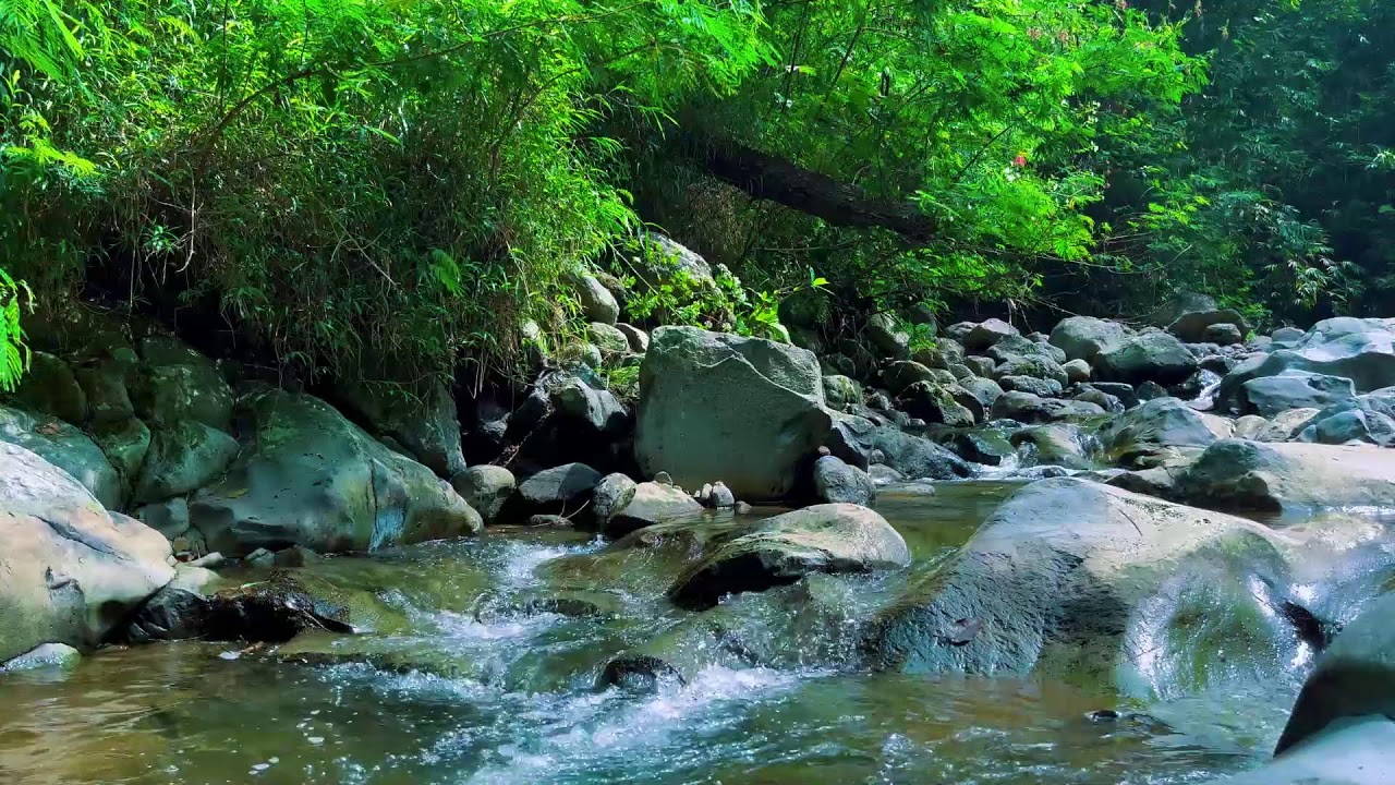 Water Sounds Perfect for Sleeping - Gentle and Relaxing