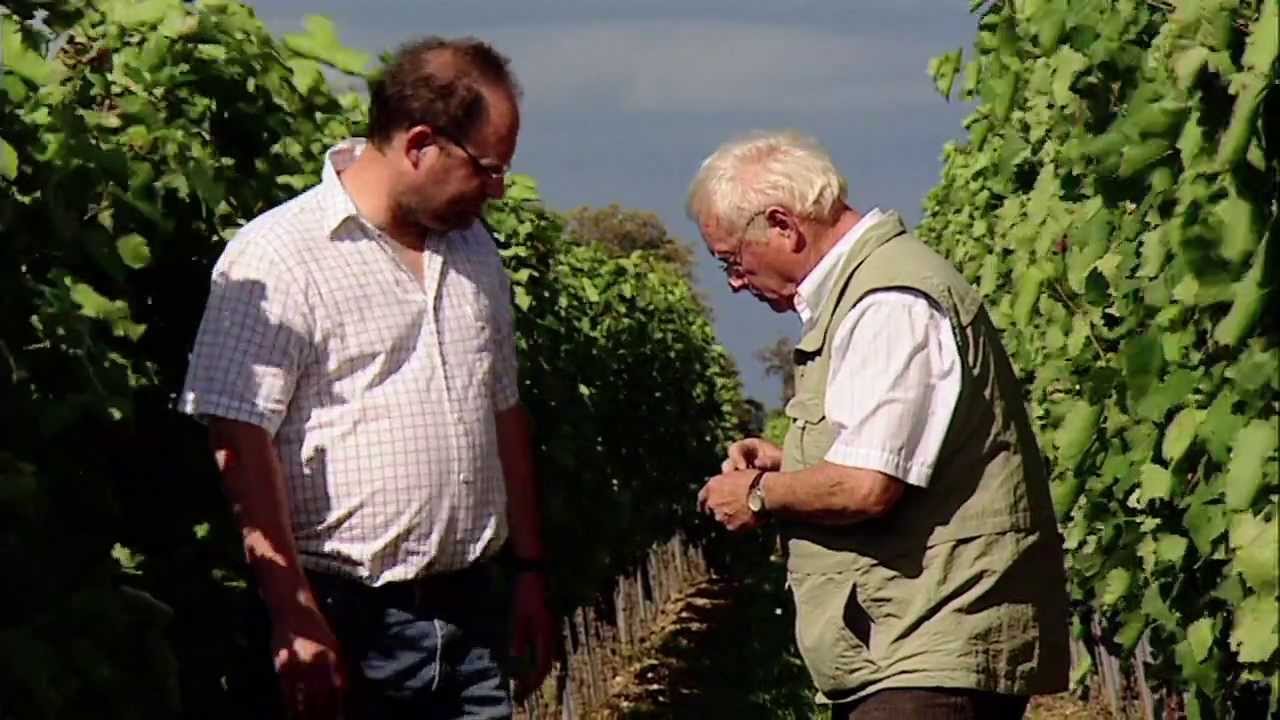 Weingut Storr - Winzerhotel Himmelacker
