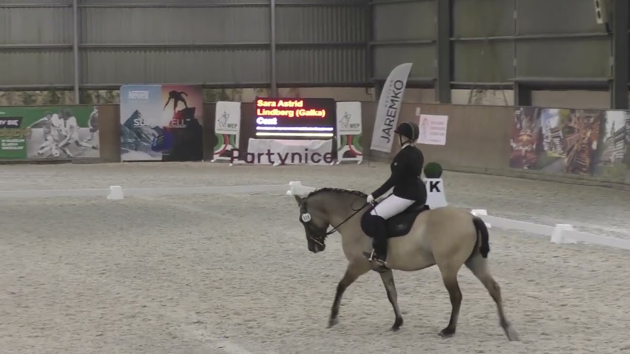 Zawody Working Equitation WROCLOVE 2024 - dressage test - nasze przejazdy