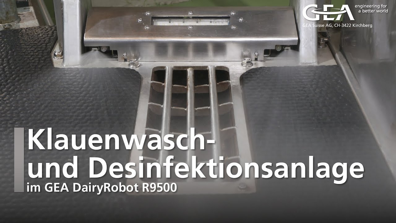 Klauenwasch- und Desinfektionsanlge im GEA DairyRobot R9500