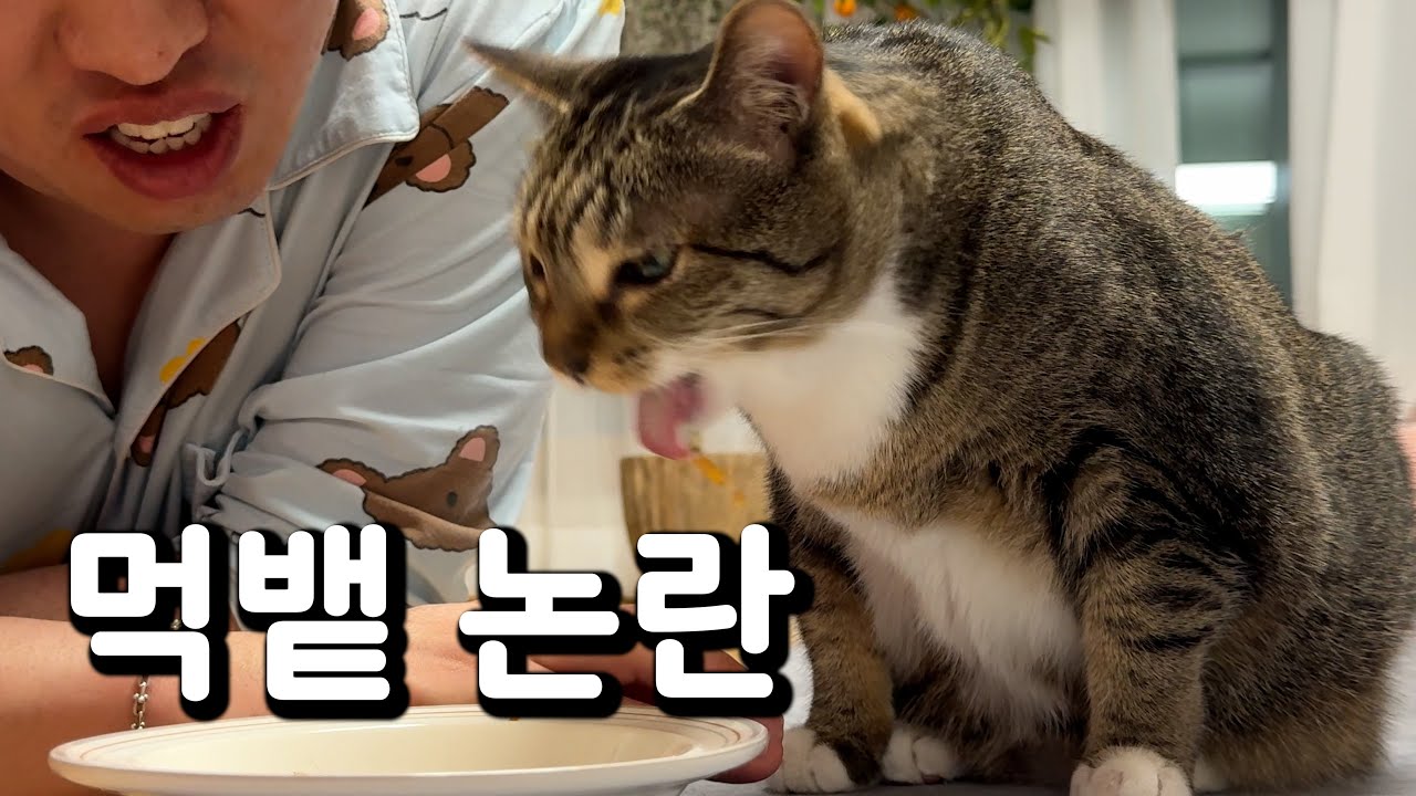 춘봉첨지 효심테스트