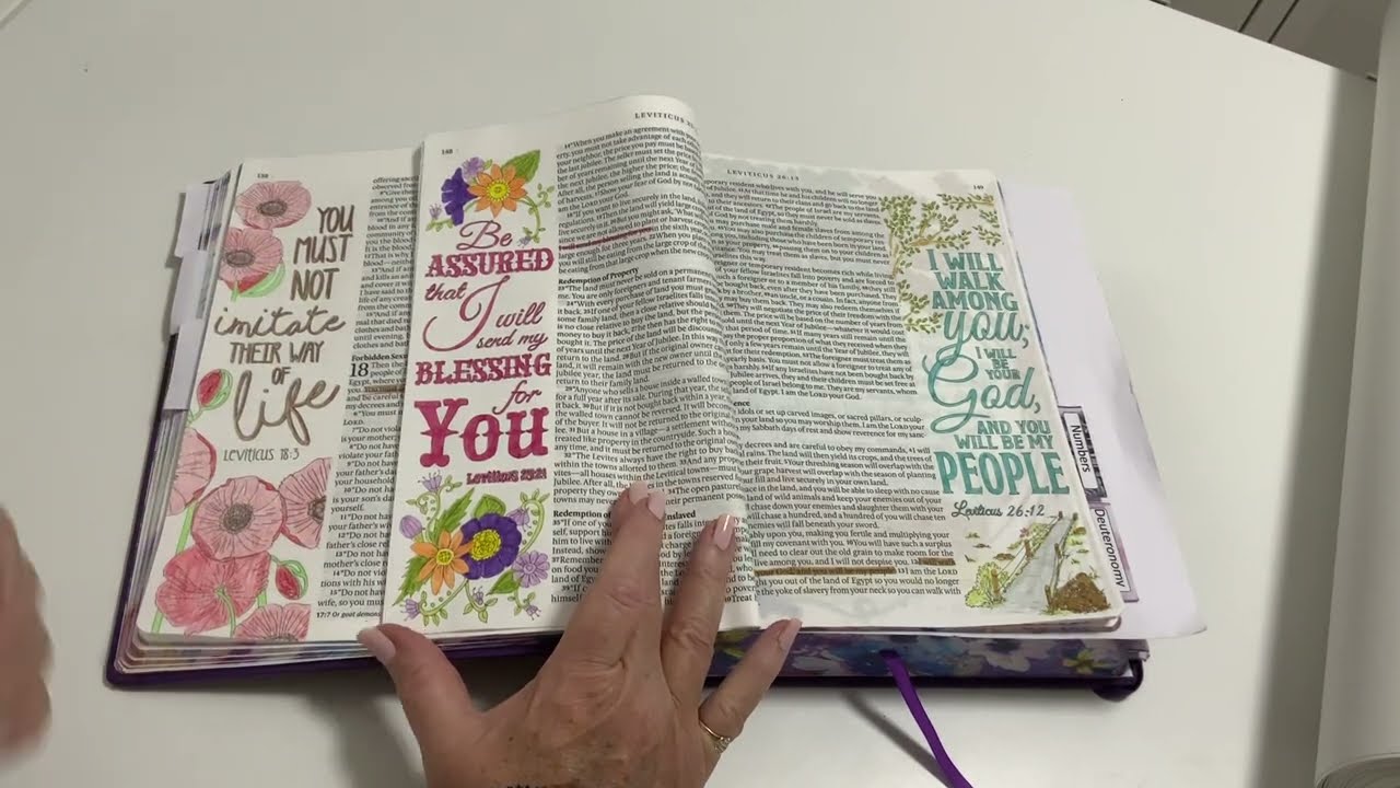 Inspire Praise Large Print Bible, colouring in, update