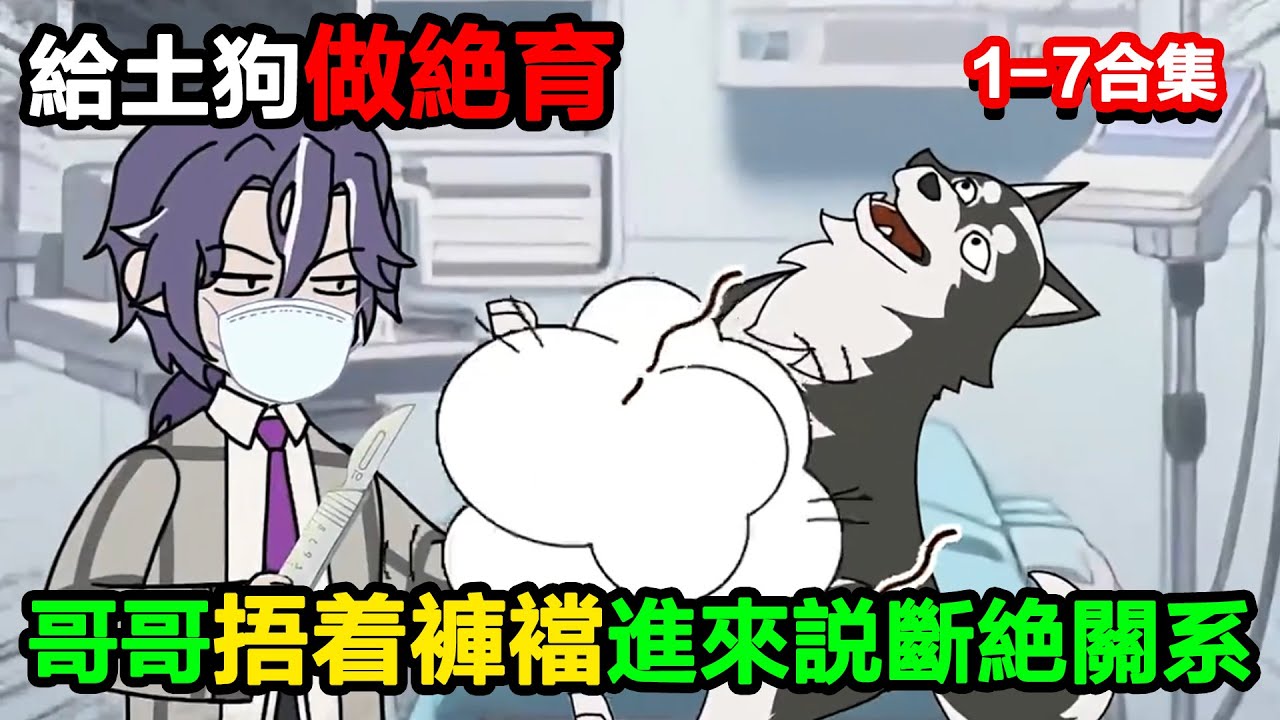 👉最新合集👈【沙雕動畫】給土狗做絕育，哥哥捂着褲襠說斷絕關系#沙雕動畫#沙雕 #正經人不做沙雕事