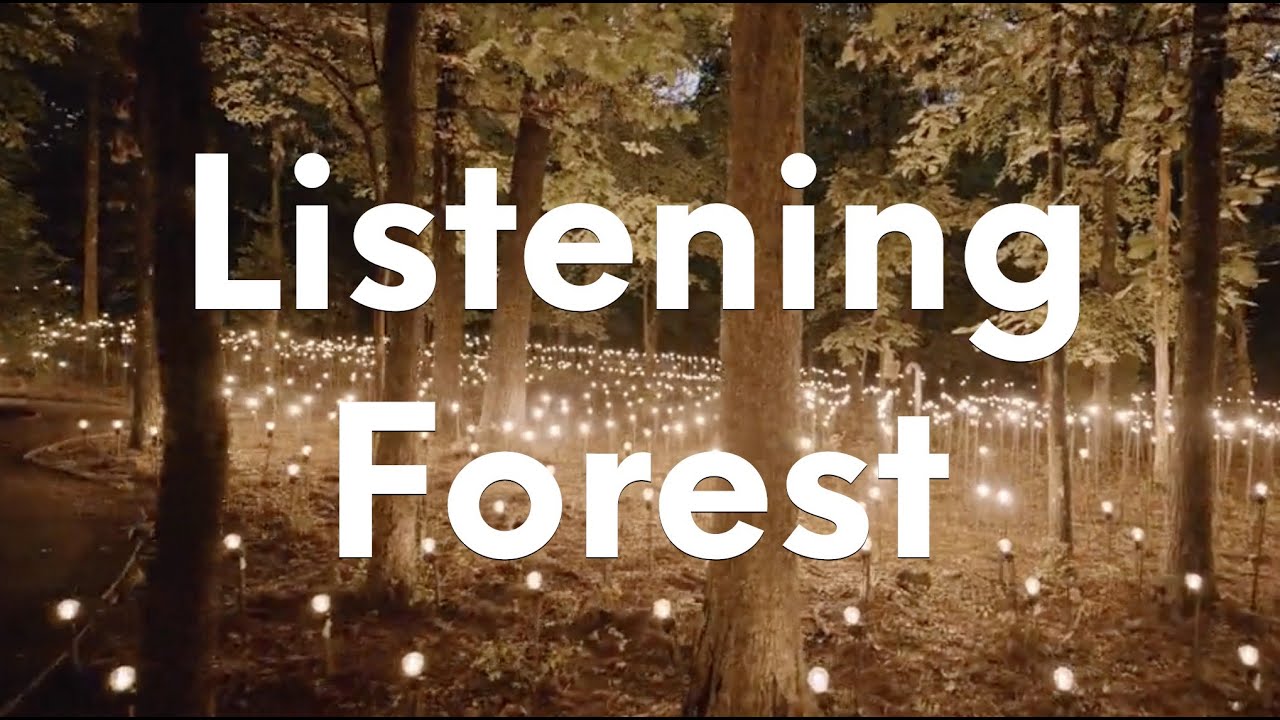 Listening Forest - Crystal Bridges Museum