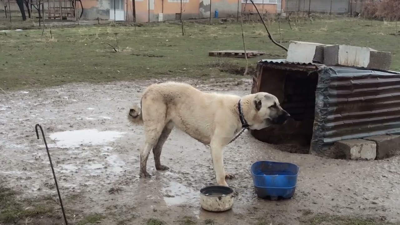 KAR YAĞMUR SONRASI YEMEK VAKTİ 