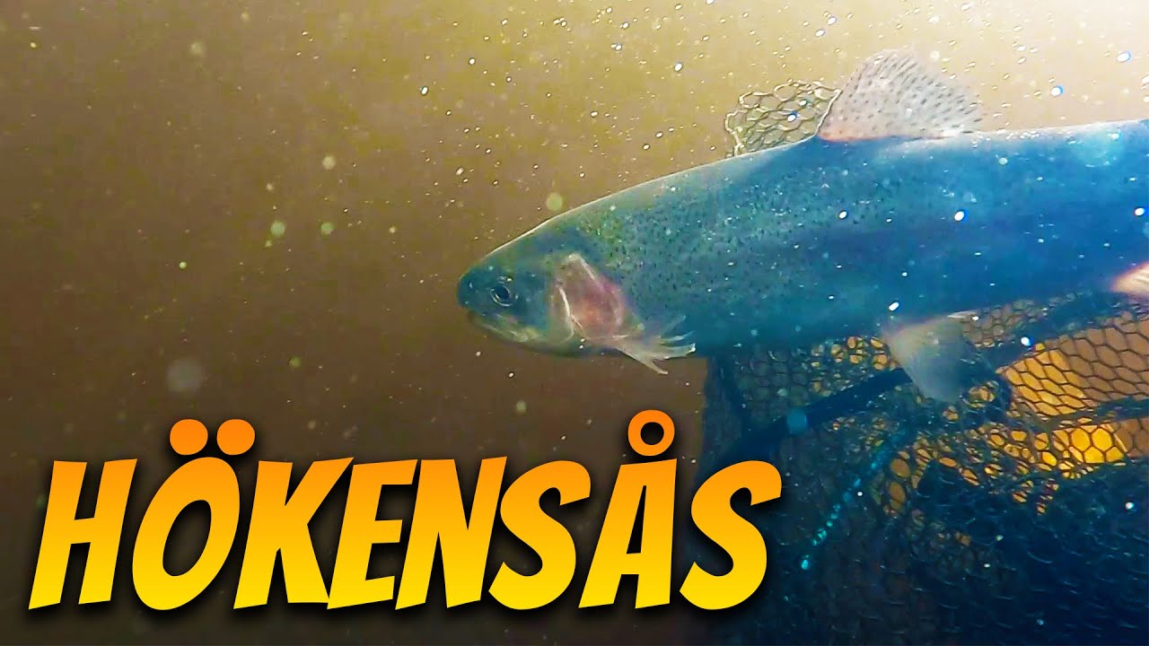 Första på Fluga i Hökensås! | Fiskelycka
