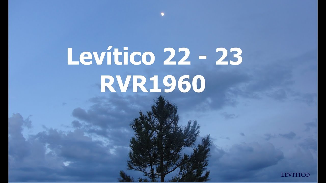 La Biblia hablada/Levítico 22 - 23