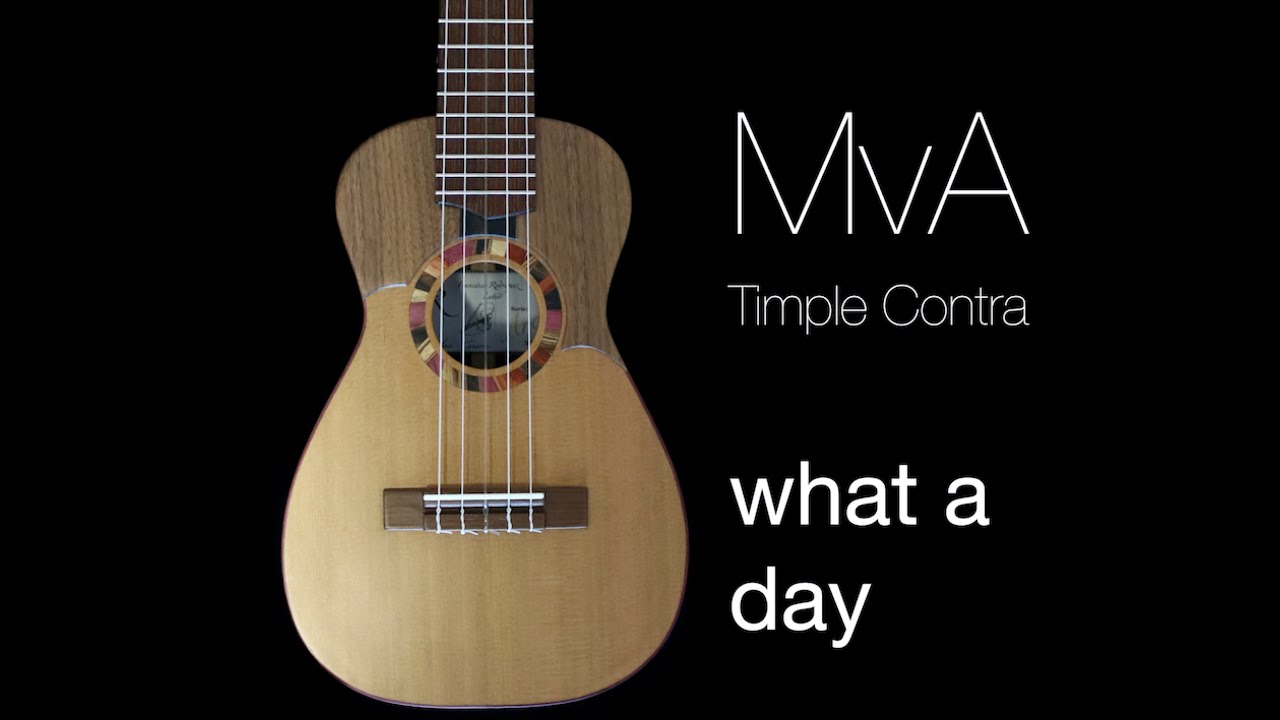 MvA - what a day (Timple Canario Contra)