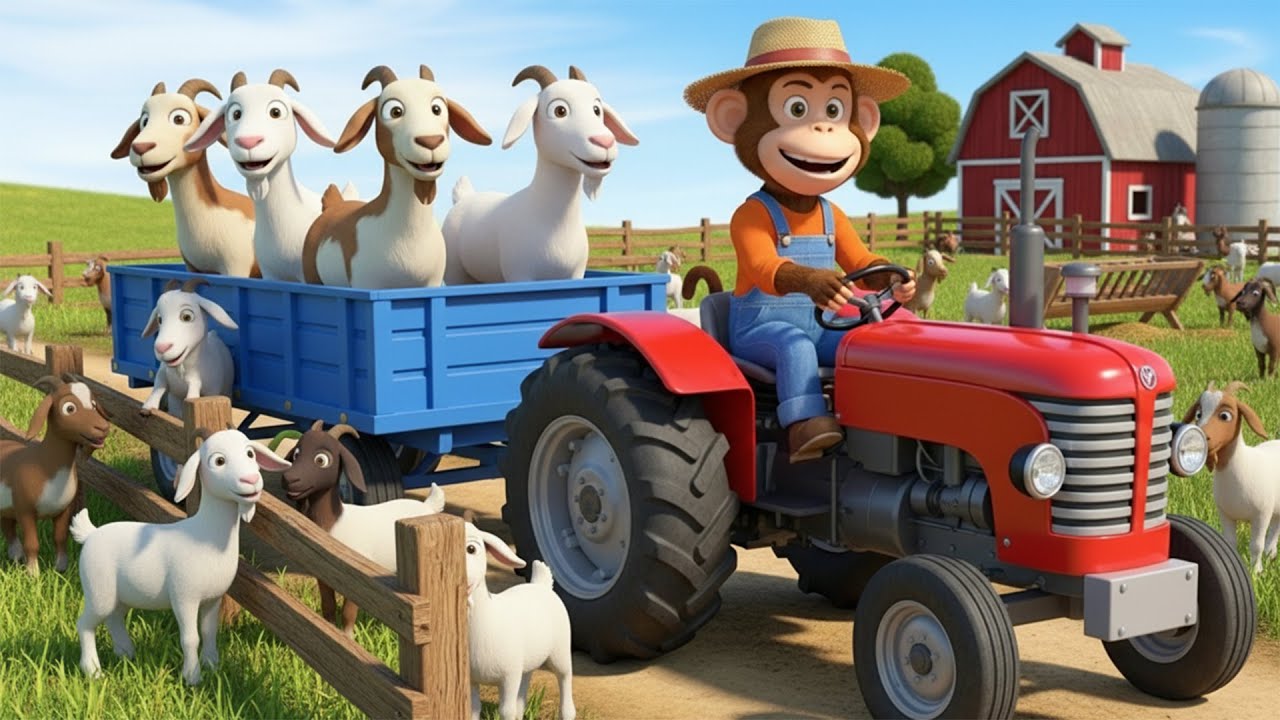 Monkey Farmer Cares for Goat Herd & Harvests Fresh Goat Milk 🐐🥛 | Funny Monkey Farm🐒