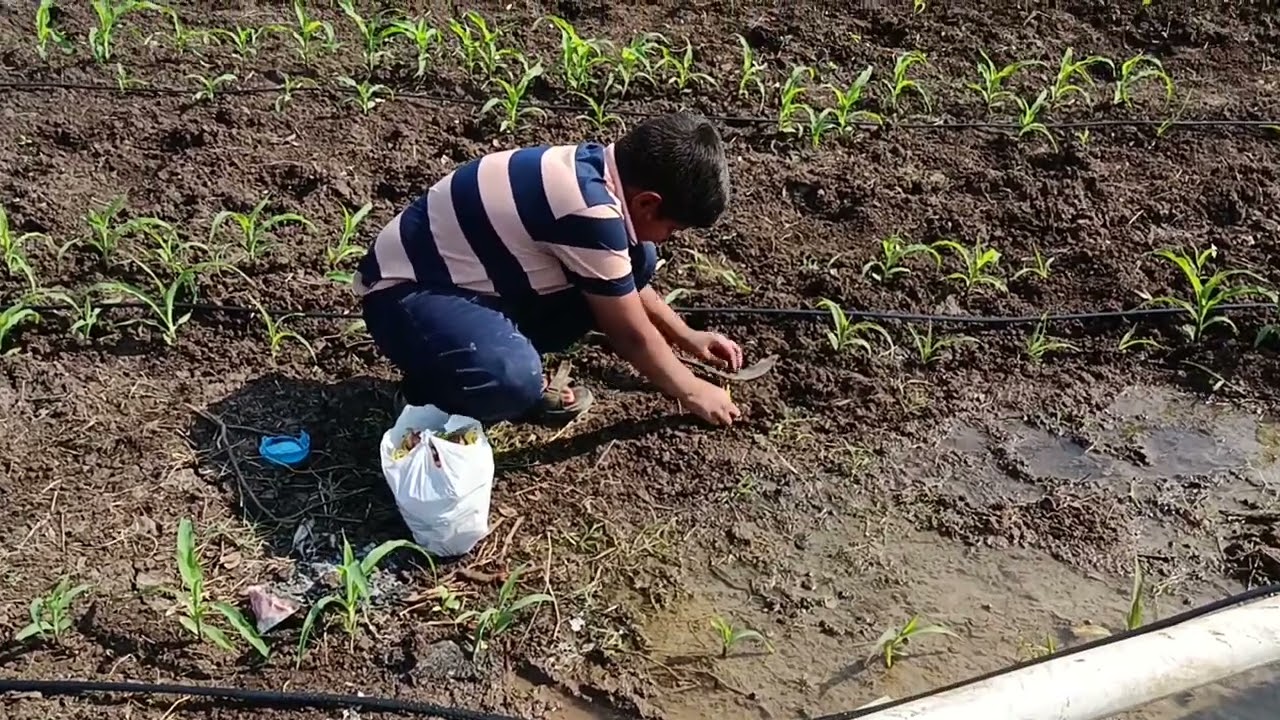 shetkari bhau | farmer | chotu | vloger sn |