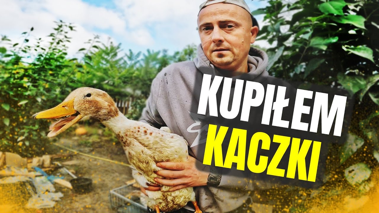 🦆 KUPIŁEM PIĘKNE KACZKI 🦆 sprzątam podwórko + wizyta rolnika ! MOJE MINI ZOO / odc. 738