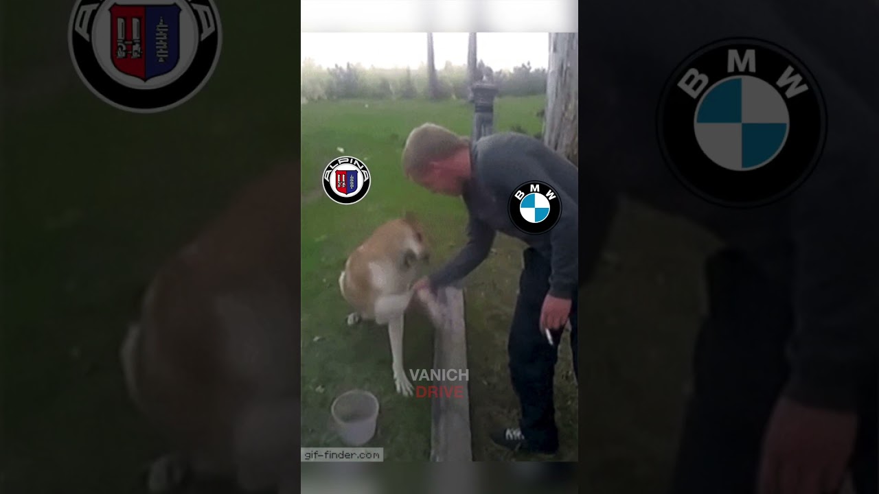 Почему ALPINA &mdash; это не BMW M? #BMW #Alpina #CarCulture