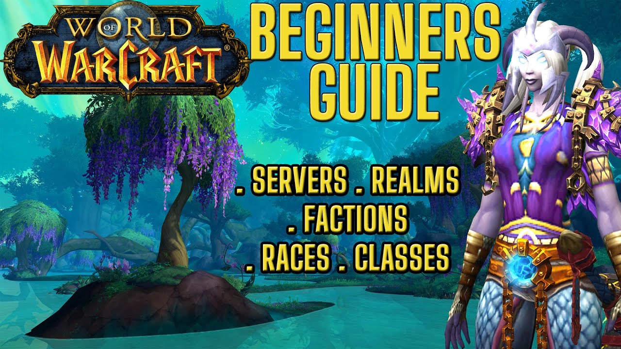 World of Warcraft Beginners Guide - After You Download - Epi 1