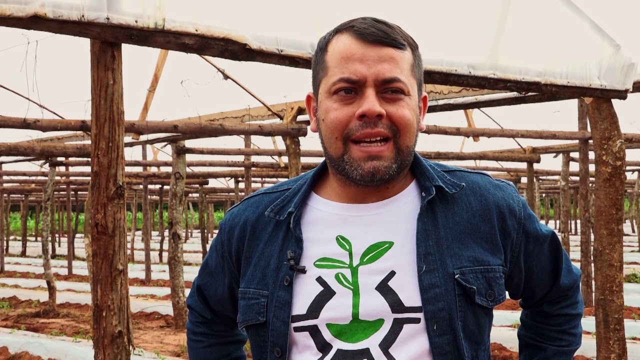 HUERTA PRO - PRODUCCIÓN DE TOMATES EN CAAGUAZÚ