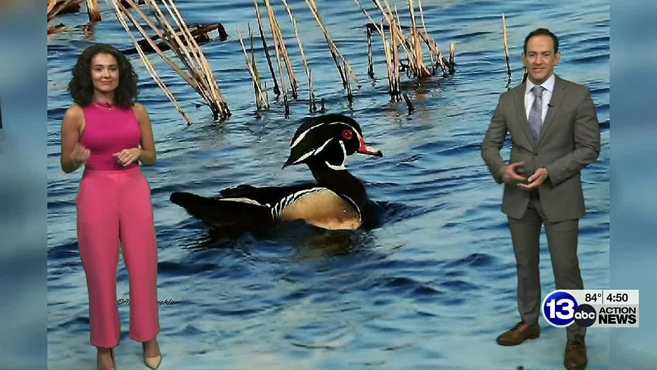 Zdjęcia tygodnia! 14 kwietnia 2023