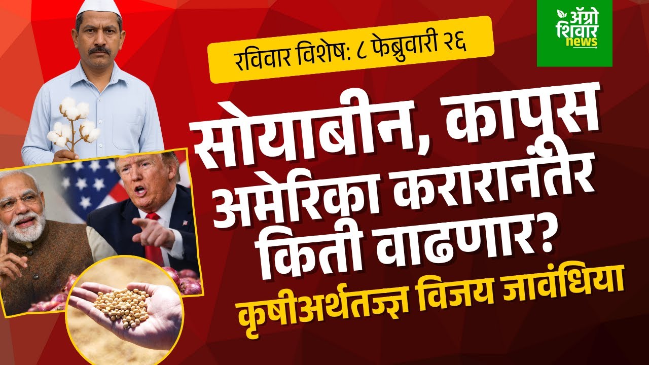soyabean bhav today | सोयाबीन बाजार भाव,  कापूस भाव अमेरिका करारानंतर किती वाढणार?