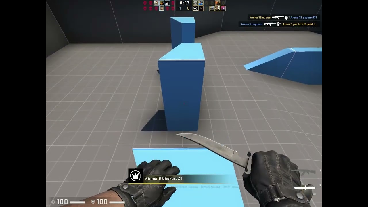 CS GO дуель на калаш с поляками глосовой чат
