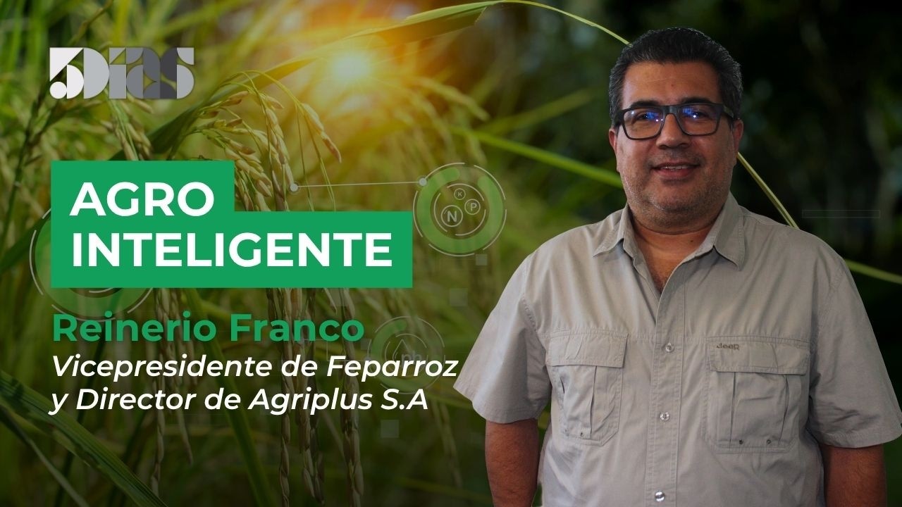 Reinerio Franco  | La importancia del sector arrocero para el país