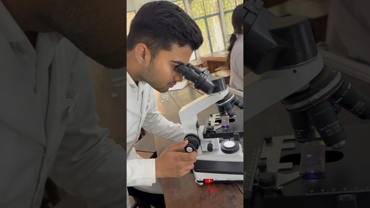 Rouleaux formation 🔥| Microscope 🔬| Medico #mbbs #shortvideo