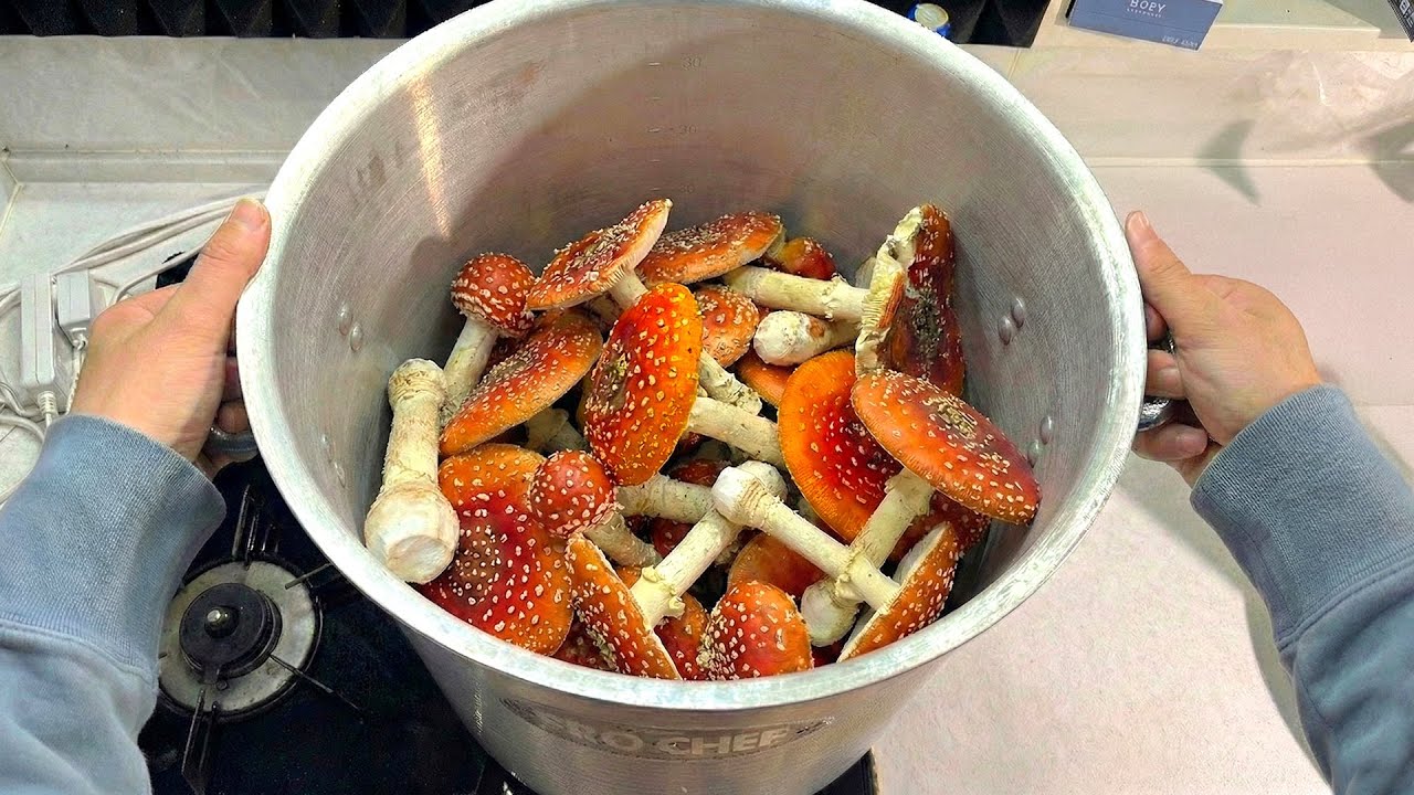 ベニテングタケでラーメン作る！