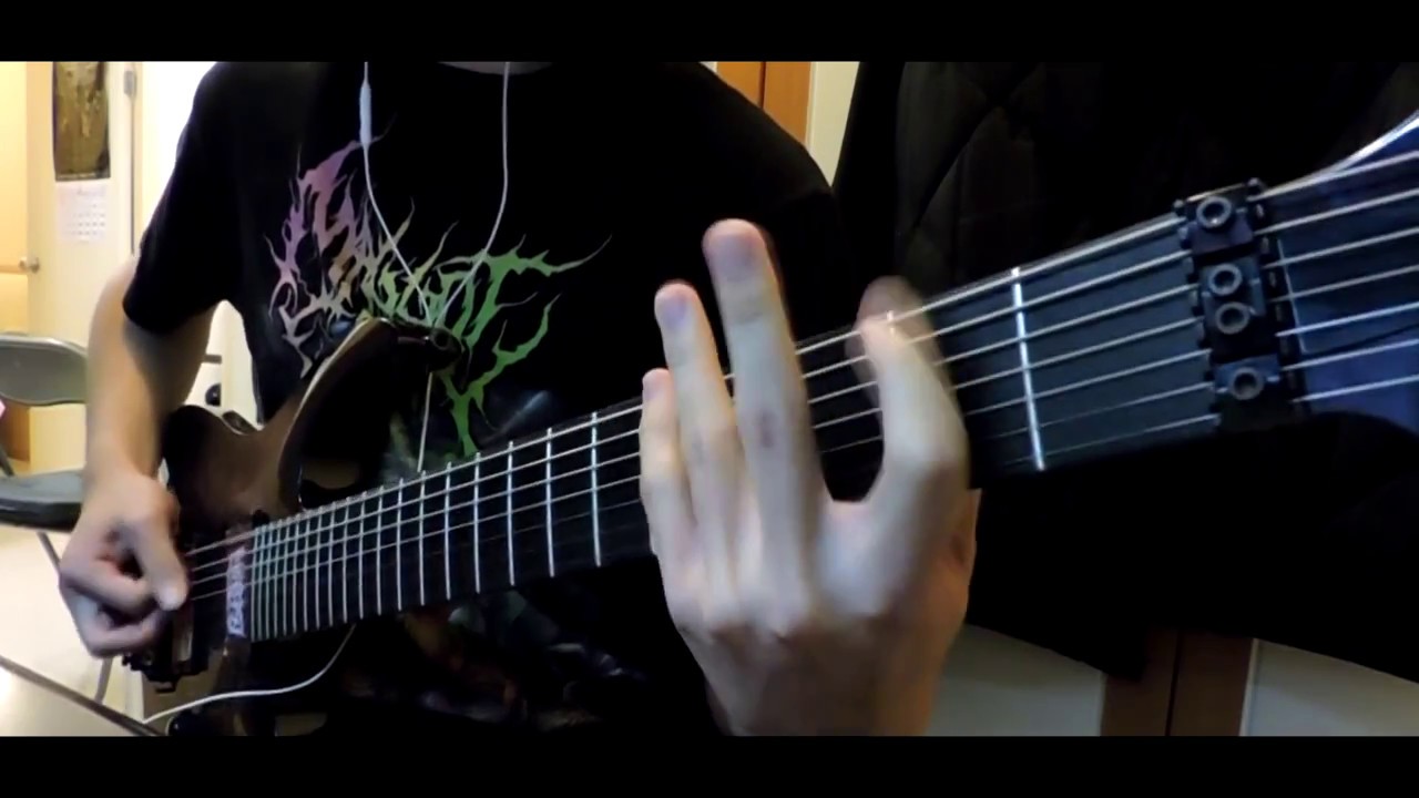 Analepsy--Apocalyptic Premonition guitar cover (with tabs)(Agile Interceptor Pro 727)