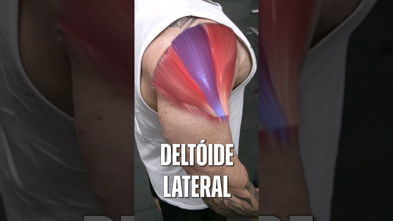 3 EXERC&Iacute;CIOS PRA TER UM OMBRO GIGA! #musculacao #academia #treino #laerciorefundini #hipertrofia
