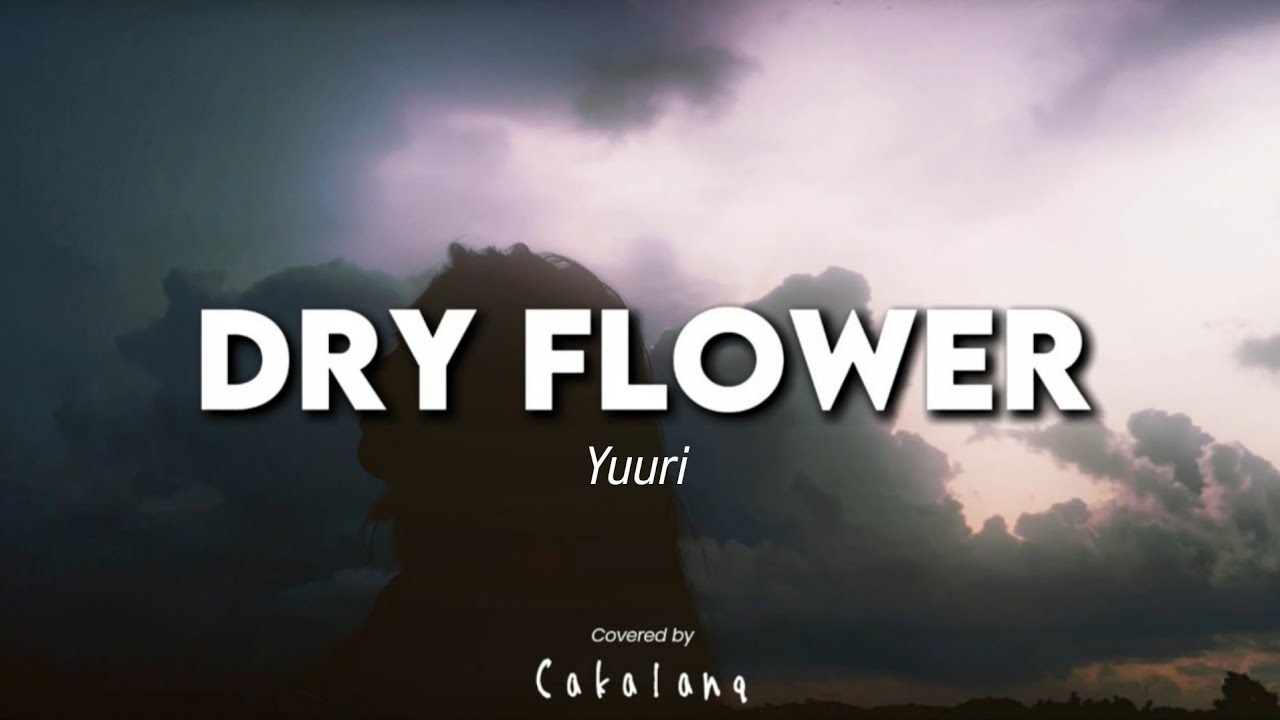 Dry Flower  - Yuuri【Si Anas / Cakalanq】(Acoustic Cover)