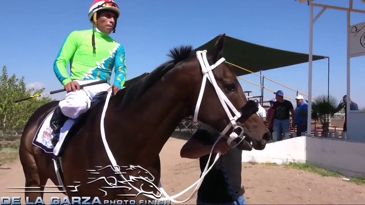 SATEVO RACE TRACK | LOS 6 FINALISTAS DEL MATURITY 325 VARAS |