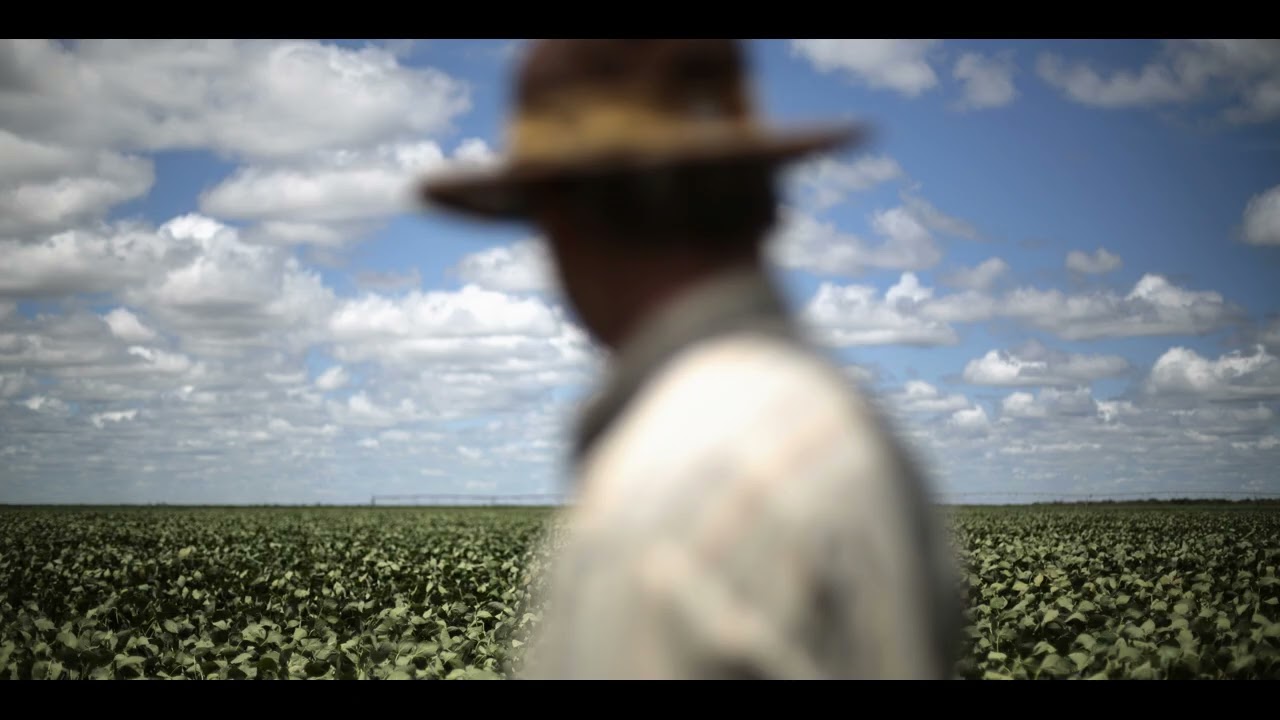 La agricultura 