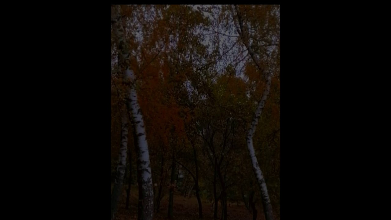 | Черниковская Хата - Нажми на Кнопку | SLOWED |