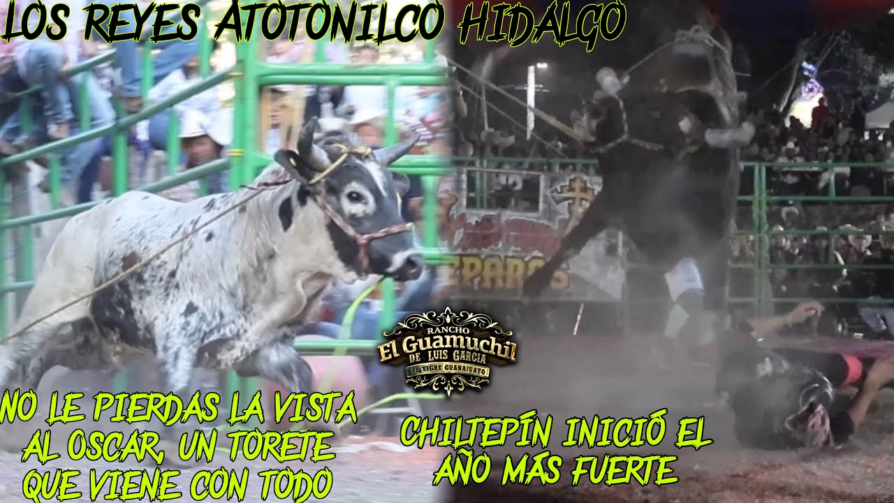 CHILTEPÍN PRIVO A SU JINETE|EL OSCAR SIGUE EN PLAN GRANDE|RANCHO GUAMUCHIL EN LOS REYES ATOTONILCO