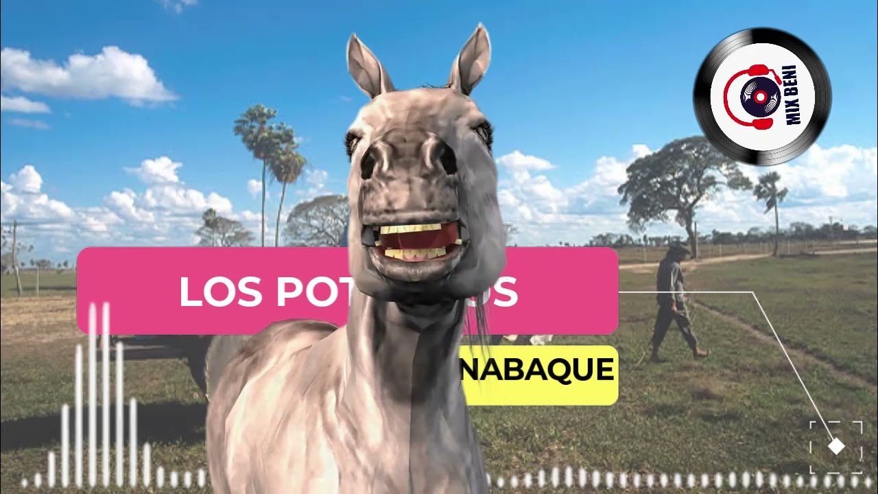 LOS POTRILLOS LO MEJOR DE LO MEJOR - BAILABLES 2022