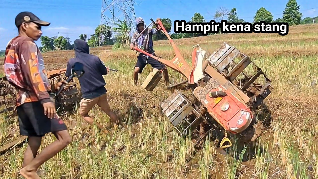 Tarik gerobak...!! Dua traktor sawah pulang kerja jauh dari gerobak