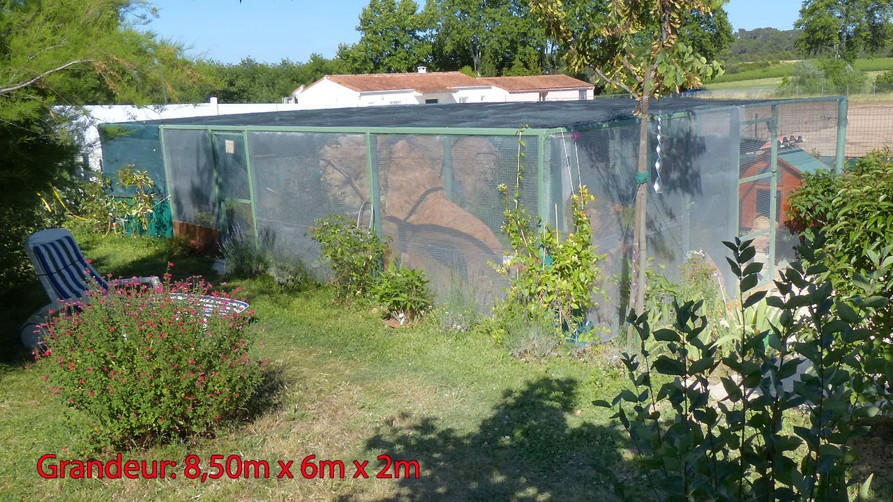 Réalisation d'une grande volière (construction aviary)