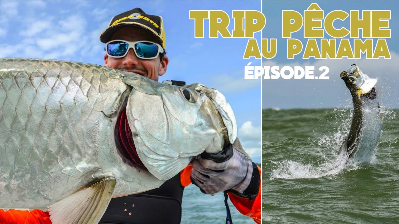 DES TARPONS ET DES SNOOKS ? 🎣 TRIP P&Ecirc;CHE EXO AU PANAMA - EPISODE 2 - REALITY FISHING