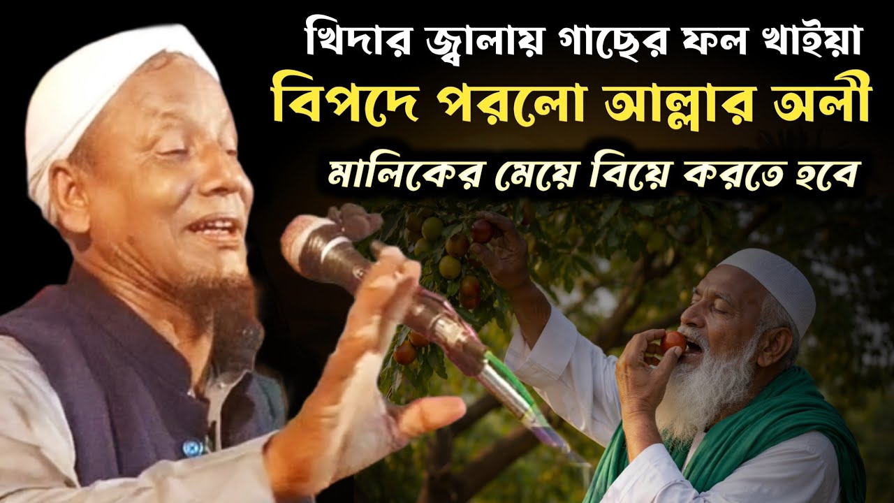 একটা ফল খাইয়ার কারণে তার মেয়ে বিয়ে করতে হলো।moulana afsar ali boyan। afsar moulana waz। afsar ali