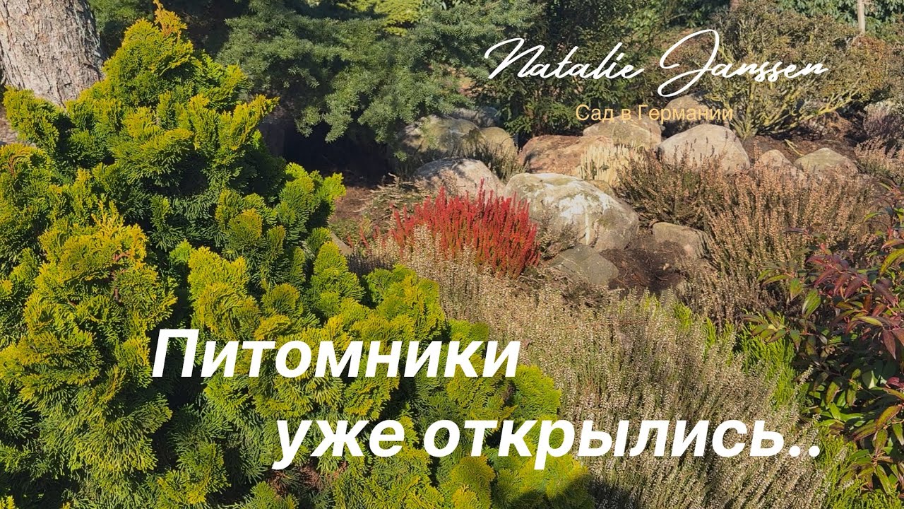 Лёгкая прогулка по питомнику Böhlje 🌿