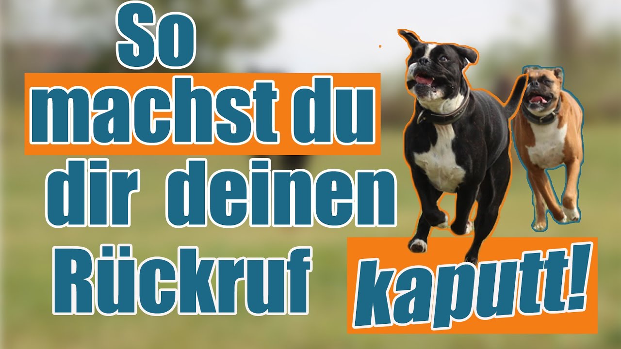 Diese Fehler beim Rückruf solltest du vermeiden!