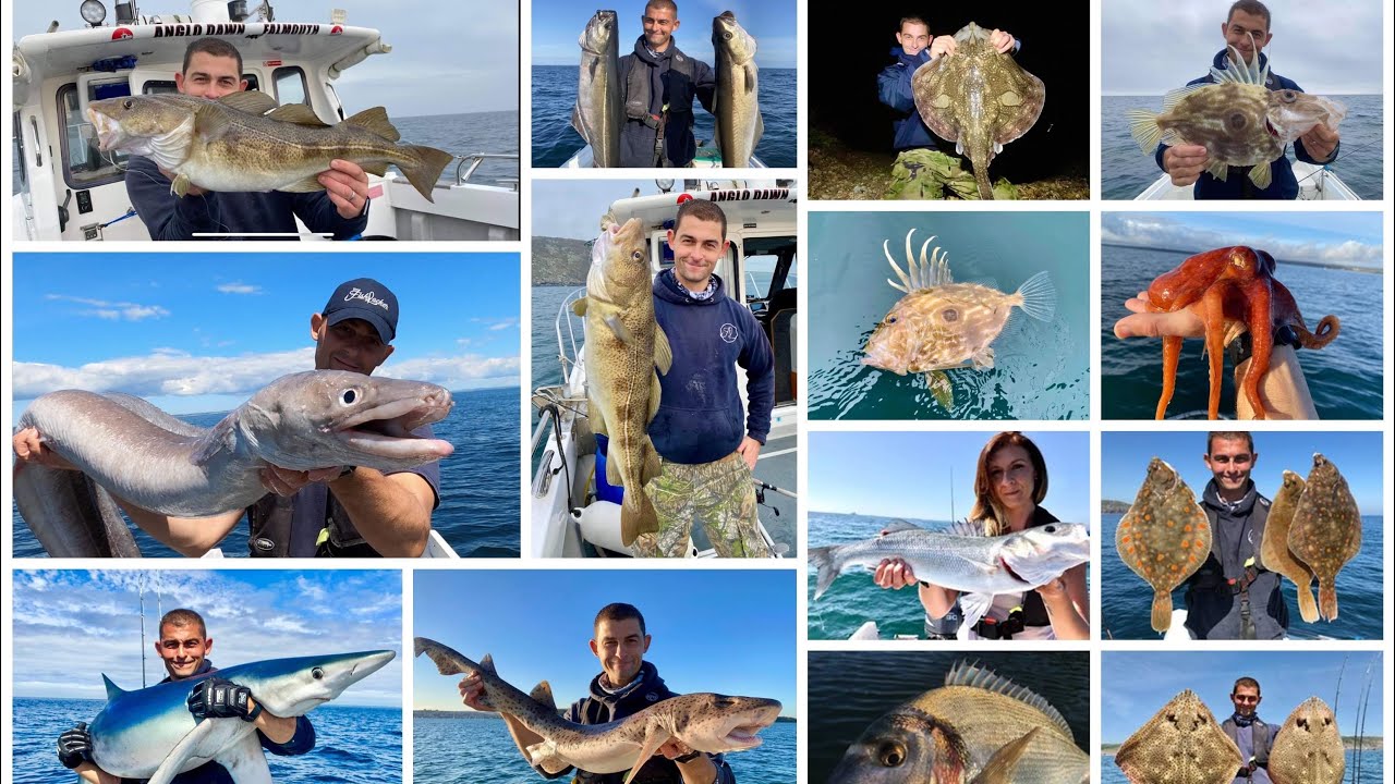 The Fish Locker - The Best of FishLocker Fishing 2020
