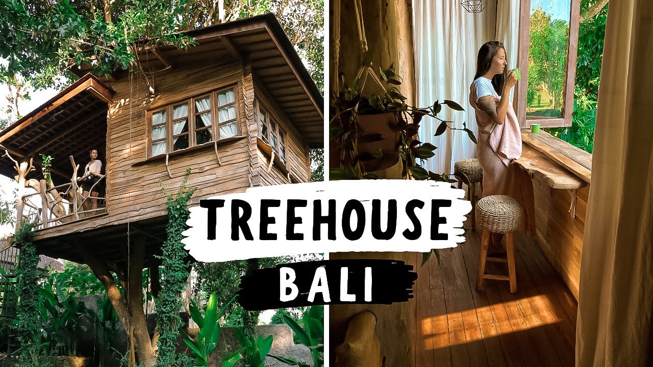 Inside a $27 Paradise Treehouse in Bali (full tour)
