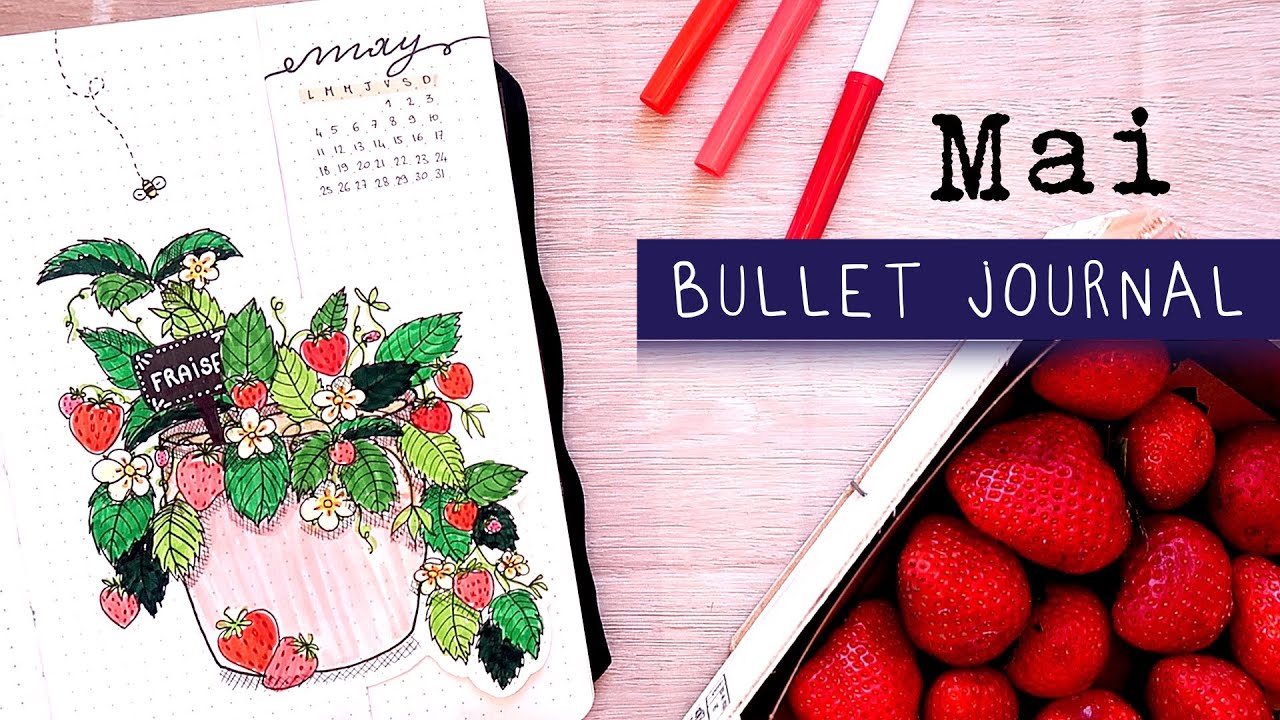 Bullet Journal Mai 2020 : Fraises | ORGANISATION