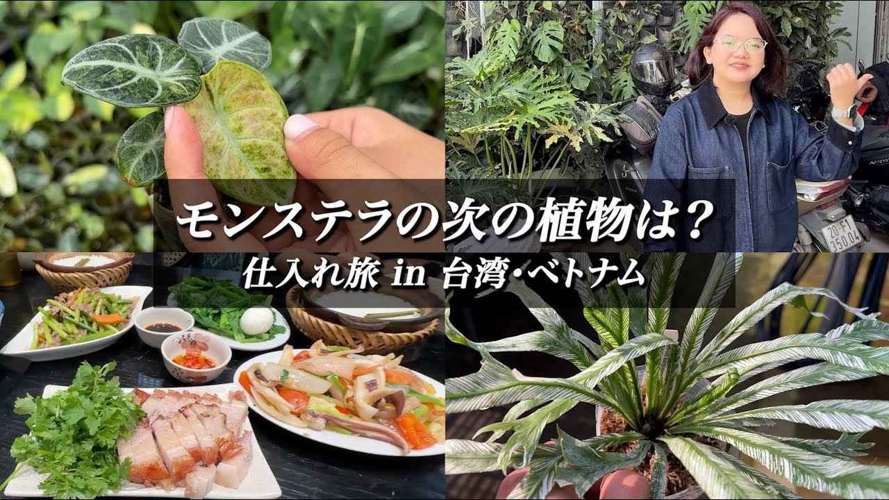 【正月SP 第2弾】アマゾンへ行こ〜 in 台湾・ベトナム編｜仕入れ旅Vlog【EP#2026W02】