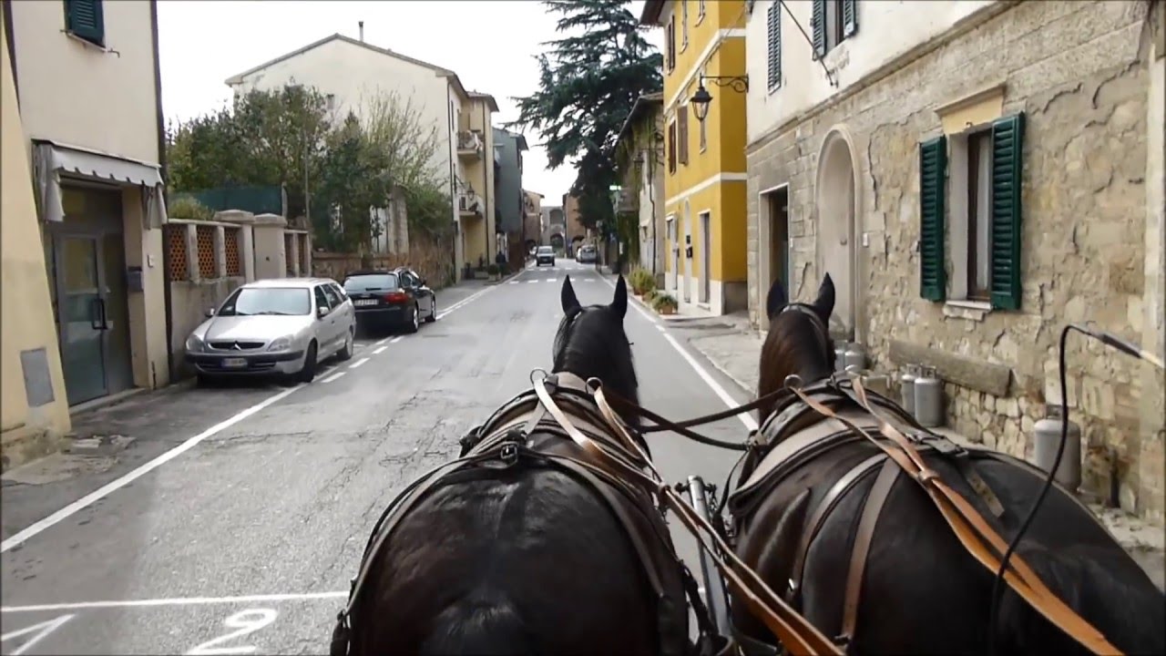 Kabardiner - Wanderfahren - mit der Kutsche unterwegs in der Toskana