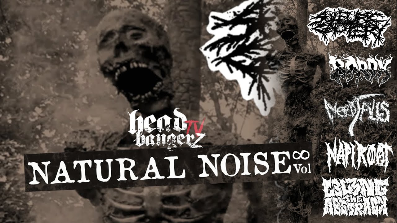 NATURALNOISE Vol.8